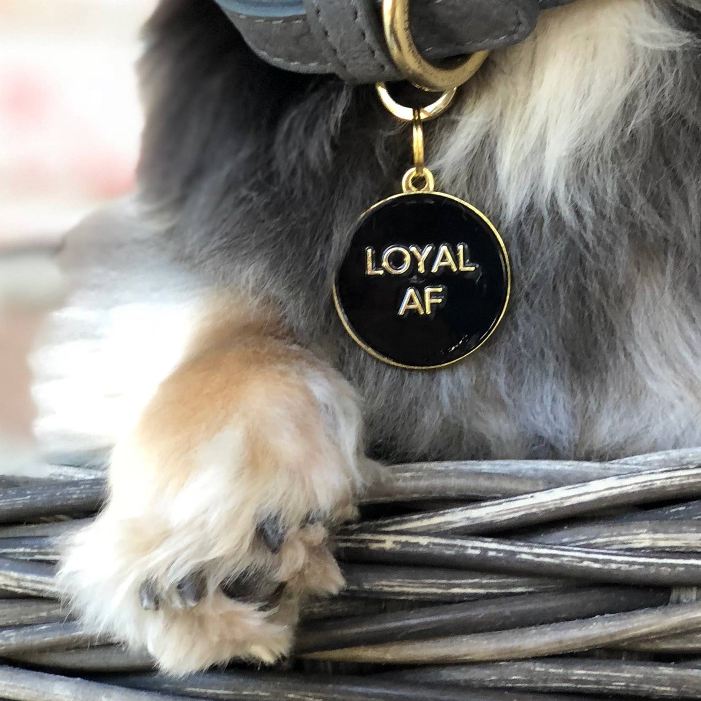 Hundemarke -  "Loyal AF" schwarz