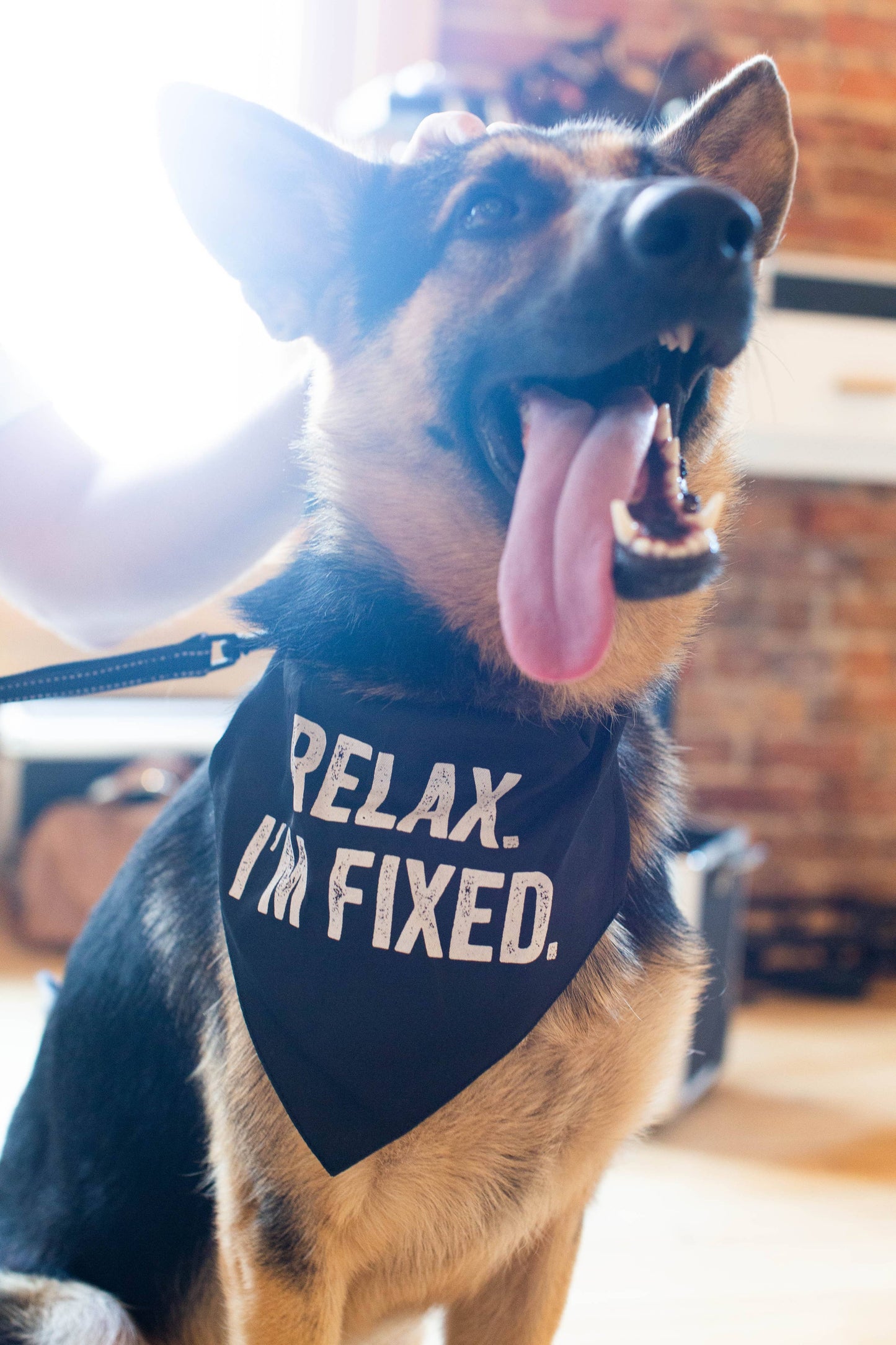 "RELAX I`M FIXED" Bandana/Halstuch